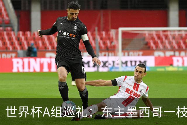 世界杯A组巡礼：东主墨西哥一枝独秀 韩国有望突破历史