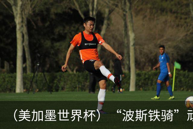 （美加墨世界杯）“波斯铁骑”顽强两连平 伊朗队期待更进一步