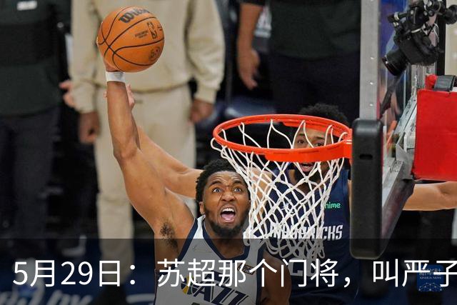 5月29日：苏超那个门将，叫严子航的，去年10月干了件大事